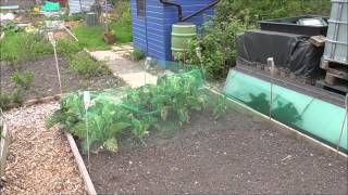 preview picture of video 'Weaste Allotments 24 04 2015'