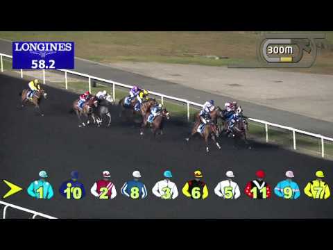 05.12.2013 Meydan (Dubai-UAE) 4.Race Expo 2020 75 / 90 - Handicap 1.200 m