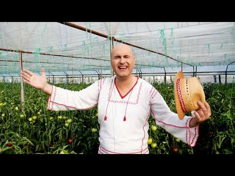 Daniel Trifu - Imnul Legumicultorilor / Am crescut în solărele