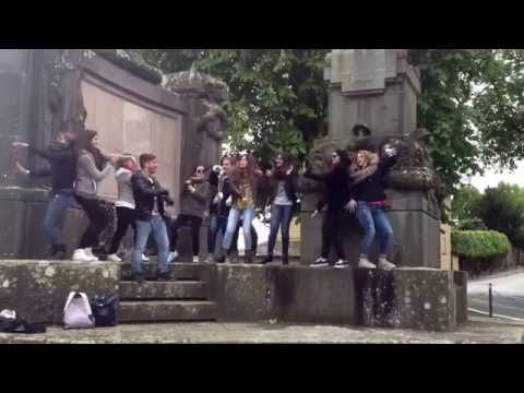 WE ARE HAPPY FROM TUSCANY-"VITTORINO DA FELTRE" TARANTO