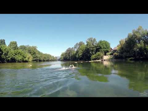 Swimming in the Kolpa River (Slovenia, Croatia)