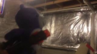 Police gets hypnotized