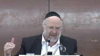פרשת תזריע תשע"ט - הרב ברוך רוזנבלום