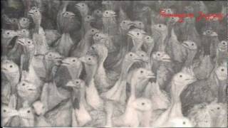 Running With Scissors - Piss