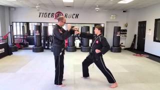 preview picture of video 'Tiger Rock Martial Arts - Tuscaloosa/Northport - Black Belt One-Steps Feb 2015'