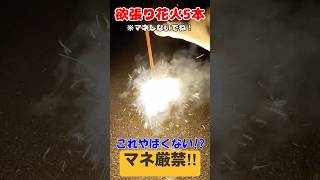 欲張り花火は危険!?その1 ※マネしないでね！ #花火