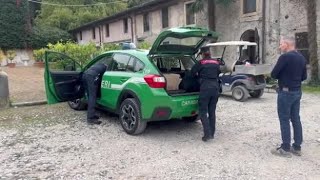 Verona, il Parco Natura Viva accoglie 21 tarantole sequestrate dai carabinieri