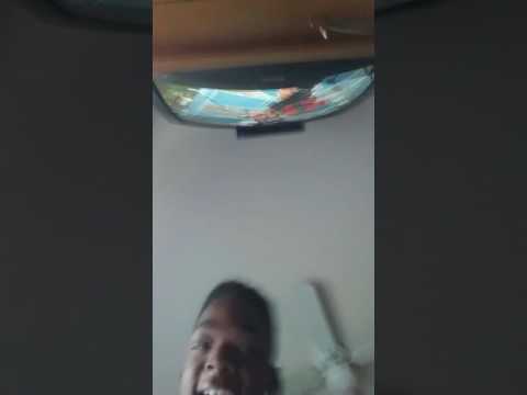 Gang tee grizzly😂