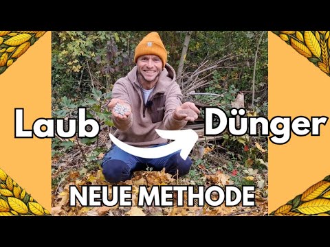 I wish I had known this earlier😲 This is how you turn leaves into super fertilizer!