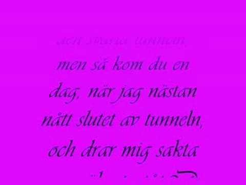 Min, fina, underbara älskade häst!