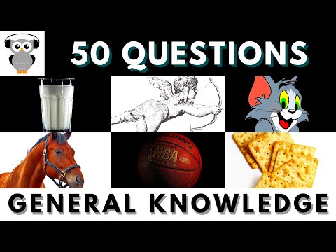 General Knowledge Quiz Trivia #42 | Milk, Cupid Arrow, Tom & Jerry, Male Horse, Basketball, Crackers