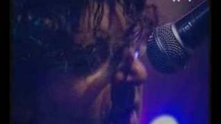 Lou Barlow-Puzzle(live)