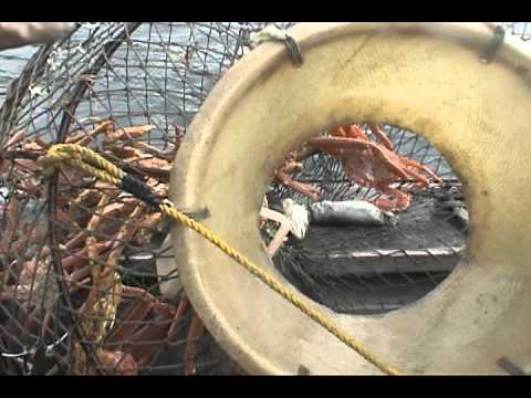 Crab Pots on Kodiak Island - Kaiser