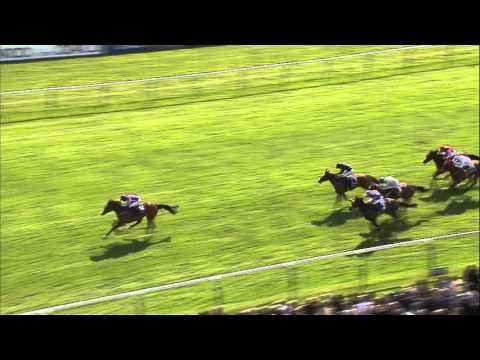 2016 1000 Guineas - Minding - Racing TV