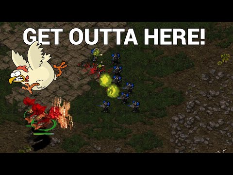 StarCraft 1: miWHO gets map control? - Mihu vs Calm - Part 2 | China vs Korea