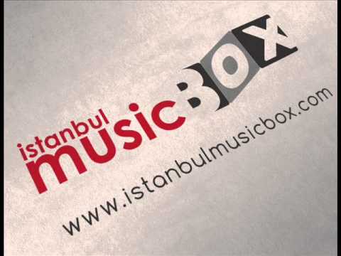 Skazi MR BLACK Feat Meital De Razon - Warior  ( Electro Remix )