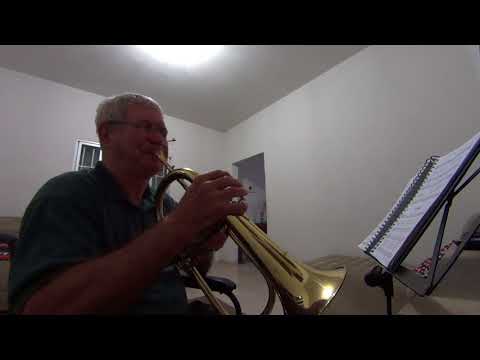 Hino 416 - Flugelhorn