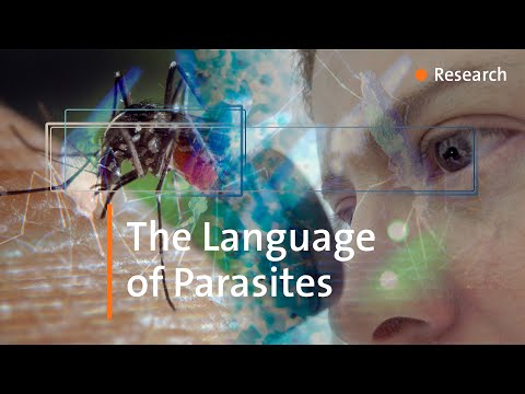 New ways to stop the spread of malaria