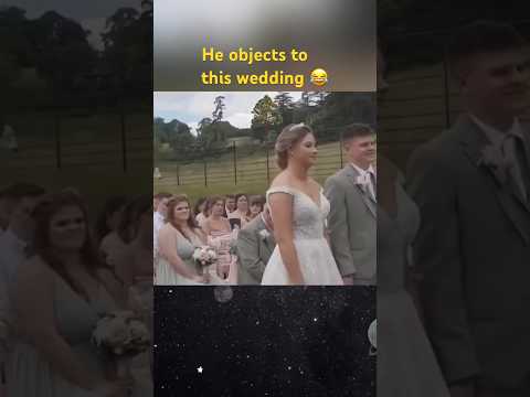 He objects to this wedding #funny #bull #funnyanimals #wedding #objection #superfunny