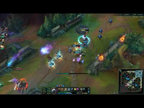 We FORGOT about the VOLIBEAR!!!