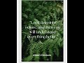 Nature Quotes Albert Einstein Shorts Nature Naturequotes