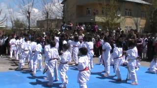 preview picture of video 'muş karate gösterisi mehmet topal'