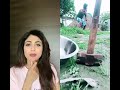 Shilpa Shetty Funny Video Reaction