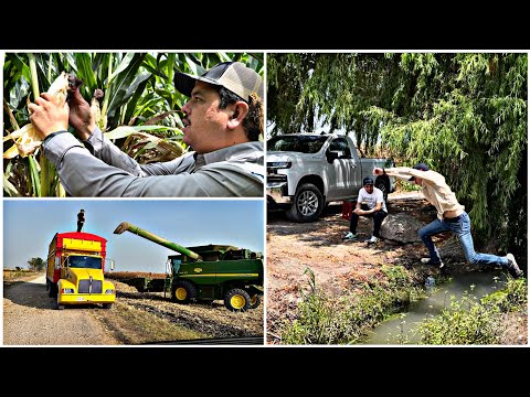 ONE DAY BEING AN AGRICULTURAL ENGINEER WITH MY UNCLE AURELIANO AND THIS IS WHAT HE DOES 🧑🏻‍🌾(elma...