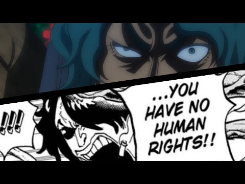 You Have No Human Rights!!