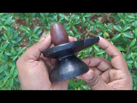 Hindu Lord Rudra Vishnuvallabhaya Shipivishtaya Shiva Bholenath Shivlingam set video