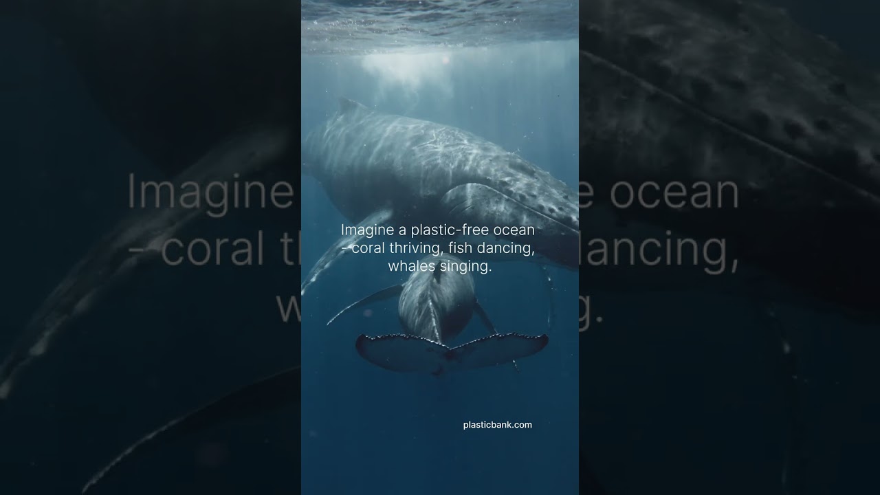 Ocean free of plastic