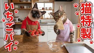 可愛い猫が作る特製いちごパイの作り方♪簡単レシピで美味しくてロシアンブルーくんも絶賛！