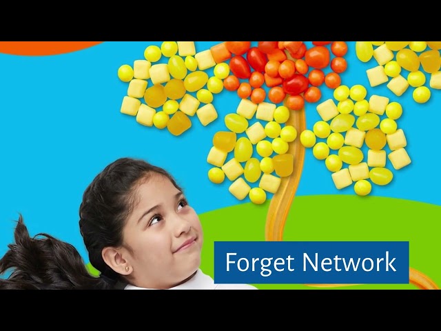 Network Error Fixes
