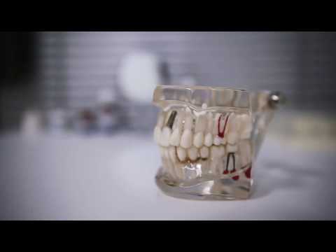 Promo Video Dental Care Bakrevski - Bitola