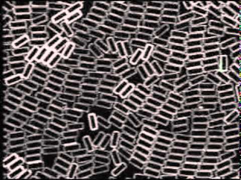 The 77 Steps of Making an Emeco Chair