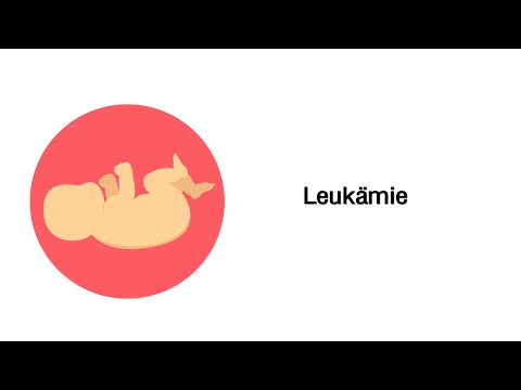 Leukämie (Blutkrebs) - Erkrankungen des Blutes und des Kindesalters