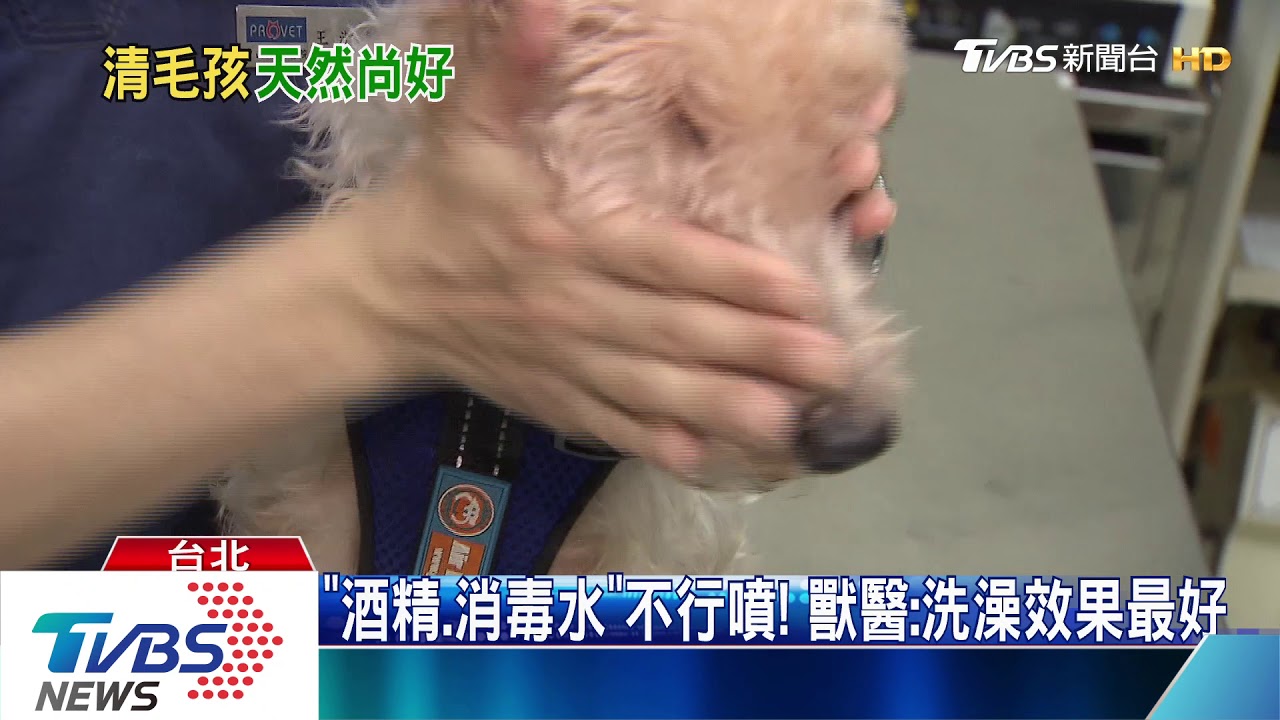 實測! 遛完狗「腳底」菌數飆「1萬8」等於髒桌子
