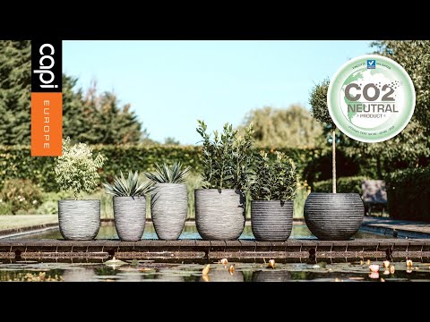 Capi - grow a greener life