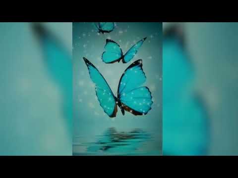 සමනළ රෑනක් සේ..!!🎤❤️(Smanala Ranak Se..!!)🎸🎶📯🎼💖Kusum De Silva Jayakody 💚Mellow Creations💚@kumdesj