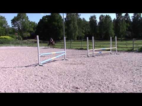 Ozo hoppning 13/6 2015