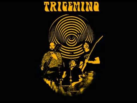 Trigemino - Shifting Gears