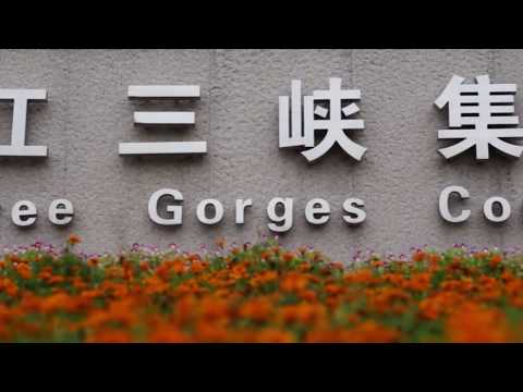 China Three Gorges aposta em alunos portugueses