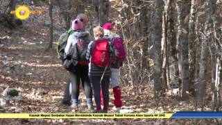 Kasnak Meşesi Sonbahar Hazan Mevsiminde Kasnak Meşesi Tabiat Koruma Alanı Isparta 4K UHD