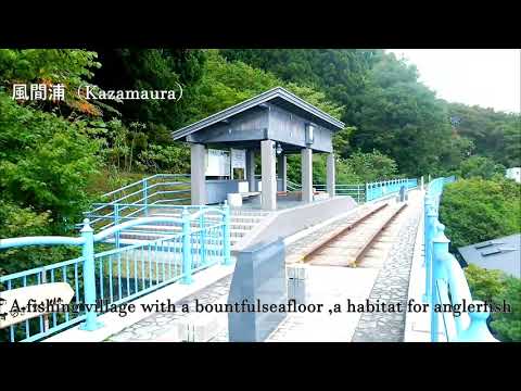 SHIMOKITA GEOPARK PV