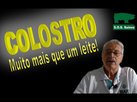 , title : 'SUINOCULTURA: COLOSTRO - Muito mais que um Leite!'