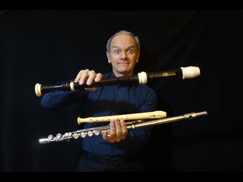Transverse Flute/Recorder (the differences)