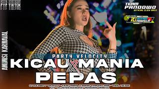 Download lagu DJ KICAU MANIA X PEPAS X MELODY SOGOK ALA KERI - VELOCITY PARTY FULL BASS TERBARU | DJ INTAN NOVELA mp3