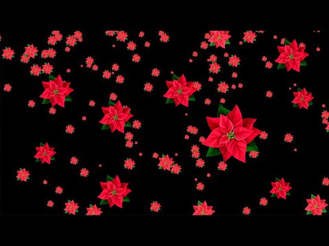 Flower Falling free effects background | Light Background Video Effect | New Black Effect Video 2021