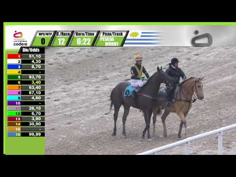 CARRERAS HIPODROMO LAS PIEDRAS  2/11/23 - URUGUAY -
