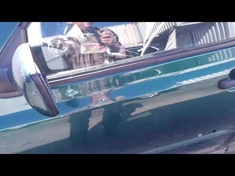 Gebrauchtwagentest  VW Golf III